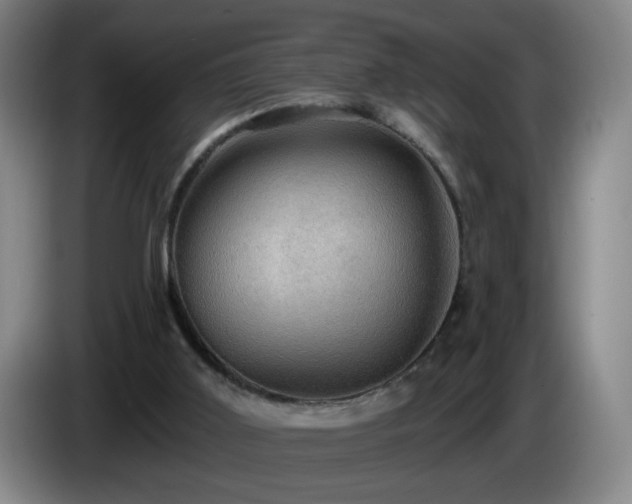 X0000085220011200703091210