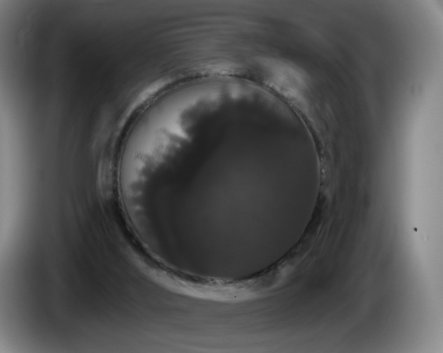 X0000085220012200703091210