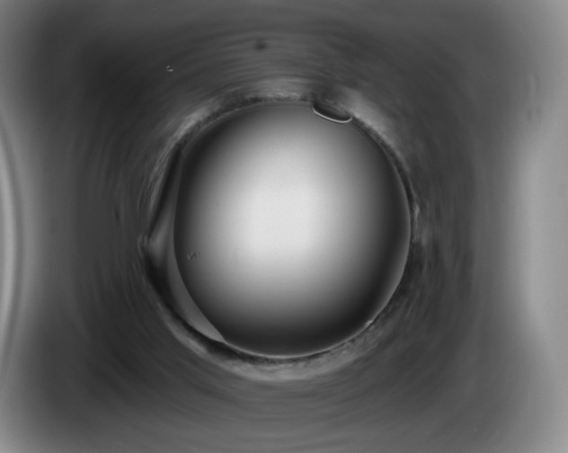 X0000085220013200703091210