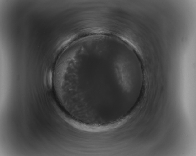 X0000085220014200703091210