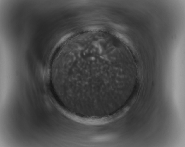 X0000085220016200703091210