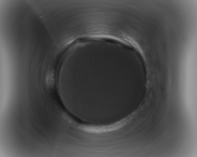 X0000085220017200703091210