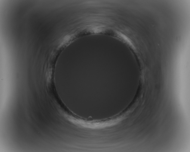 X0000085220018200703091210