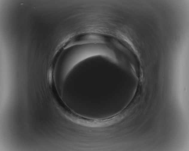 X0000085220019200703091210