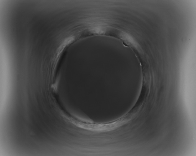 X0000085220023200703091209