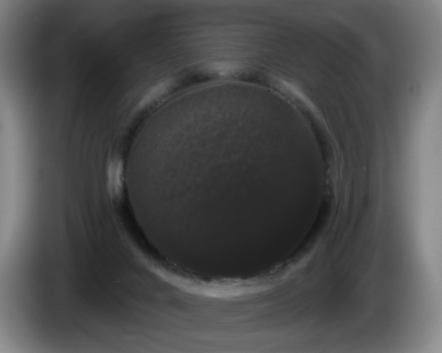 X0000085220024200703091209
