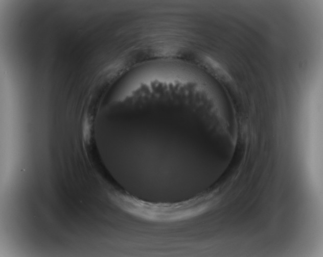 X0000085220026200703091209