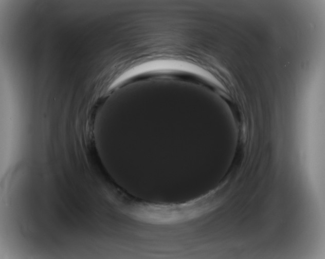 X0000085220029200703091209