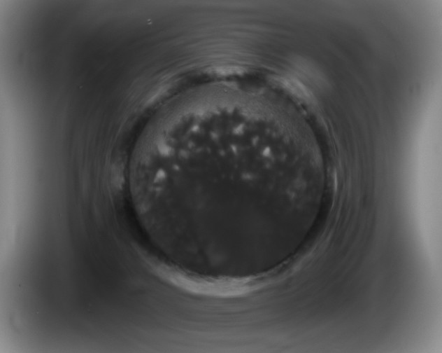 X0000085220032200703091209