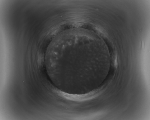 X0000085220034200703091209