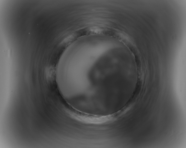 X0000085220036200703091209