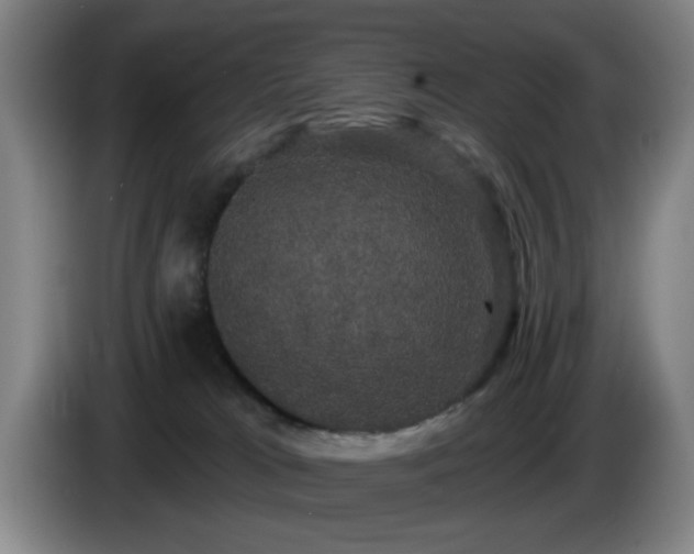 X0000085220037200703091209