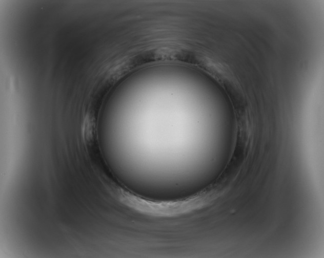 X0000085220038200703091209