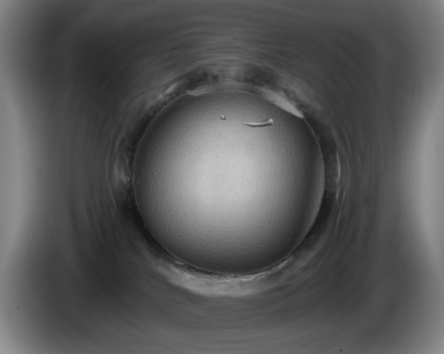X0000085220040200703091209
