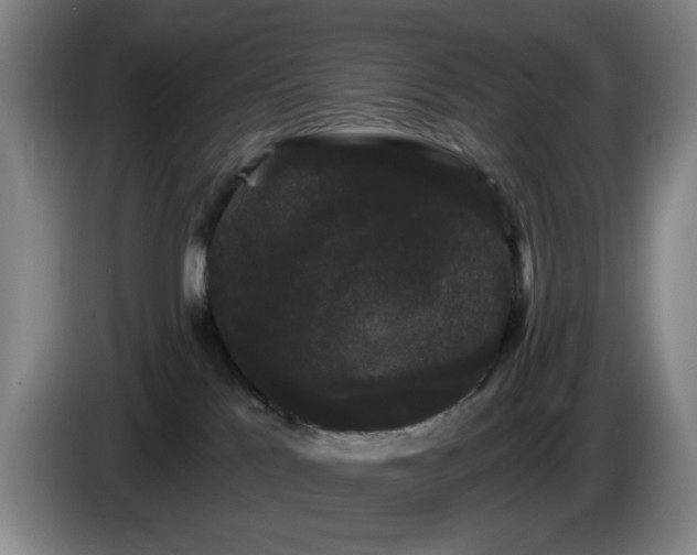 X0000085220041200703091209