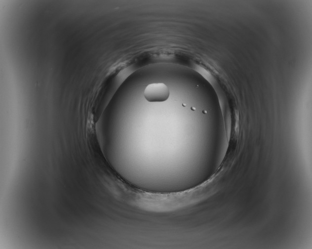 X0000085220045200703091209
