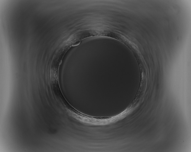 X0000085220048200703091209