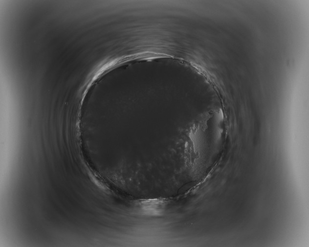 X0000085220050200703091208