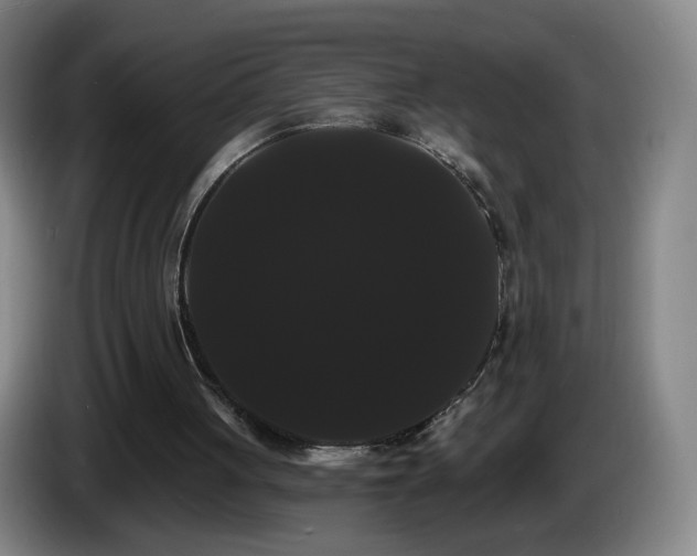 X0000085220051200703091209