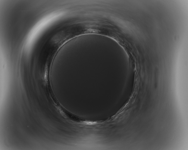 X0000085220052200703091209