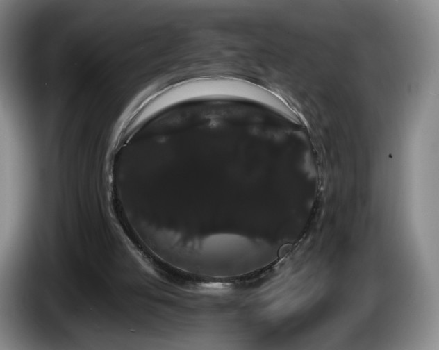 X0000085220053200703091209