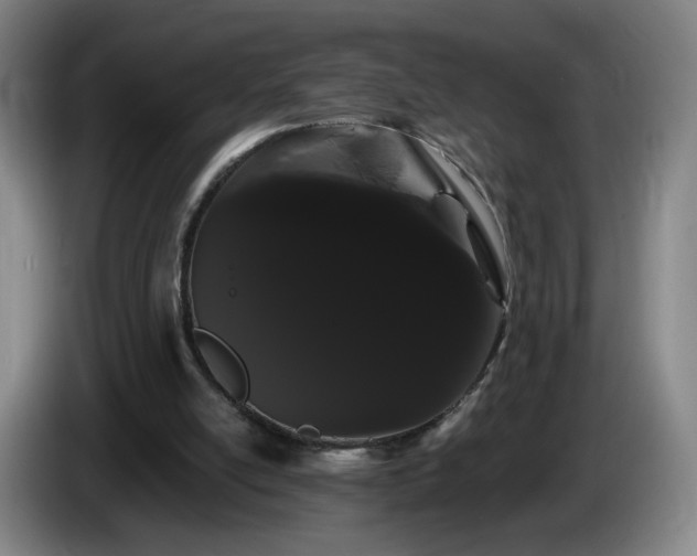 X0000085220054200703091209