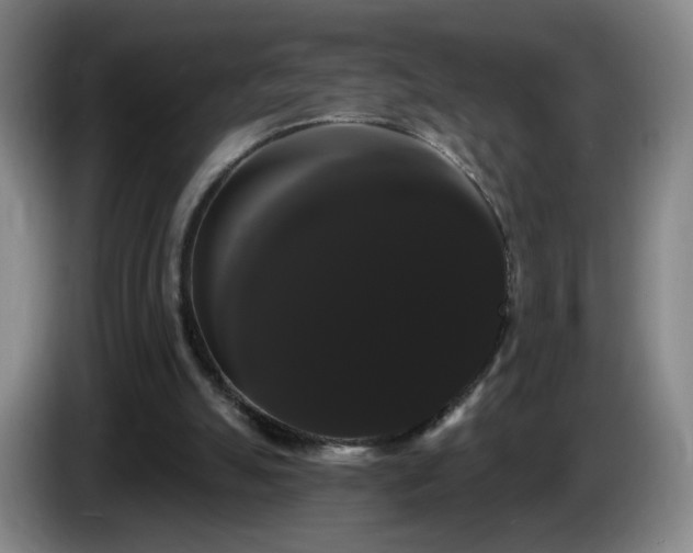 X0000085220055200703091209