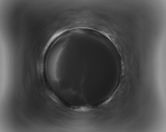 X0000085220056200703091209