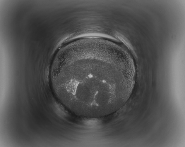 X0000085220058200703091209