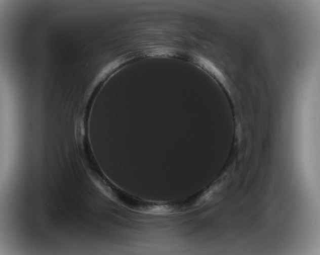 X0000085220059200703091209