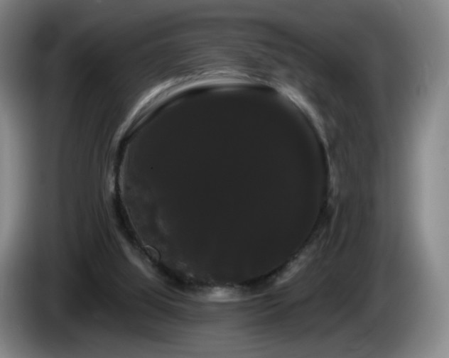 X0000085220060200703091209