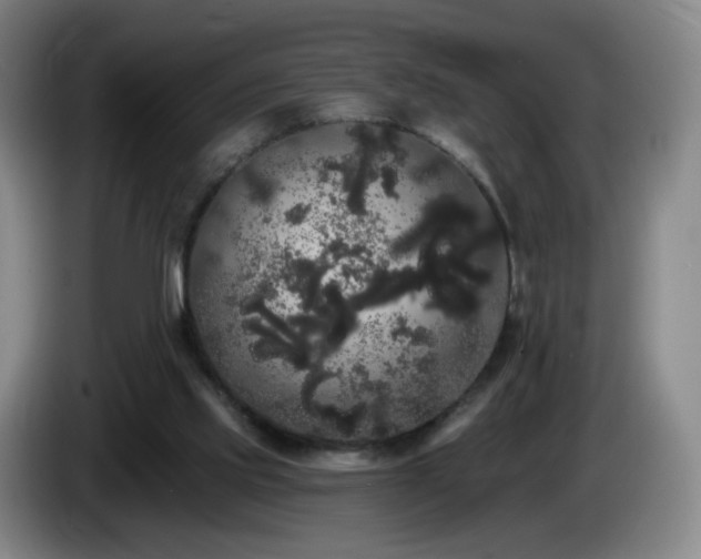 X0000085220061200703091209