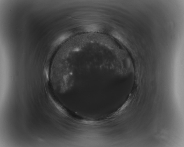 X0000085220062200703091209