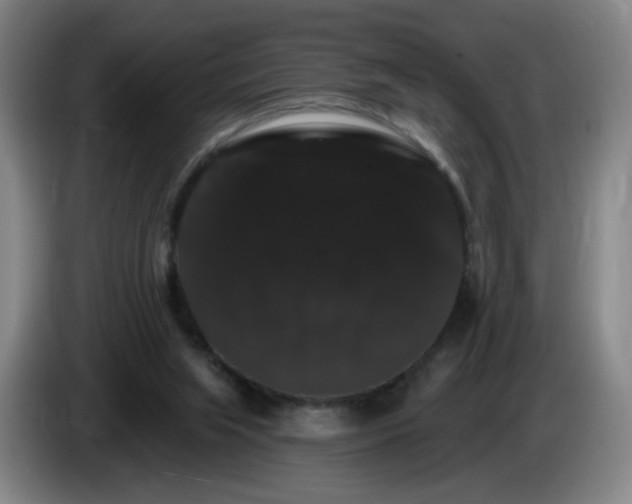 X0000085220063200703091209