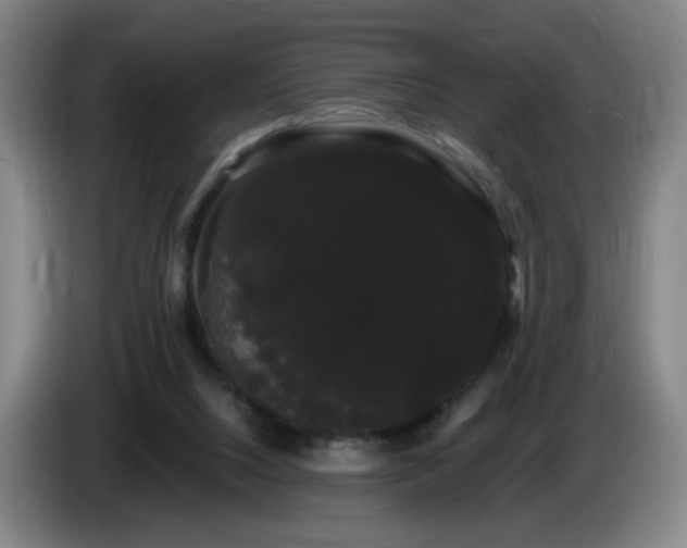 X0000085220064200703091209