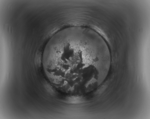 X0000085220065200703091209