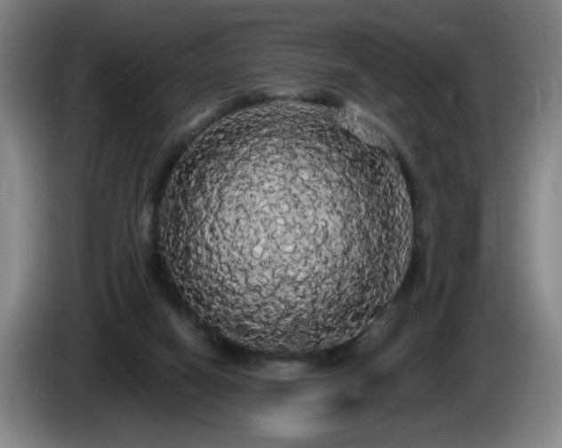 X0000085220066200703091209