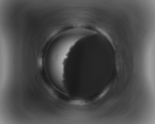 X0000085220067200703091209