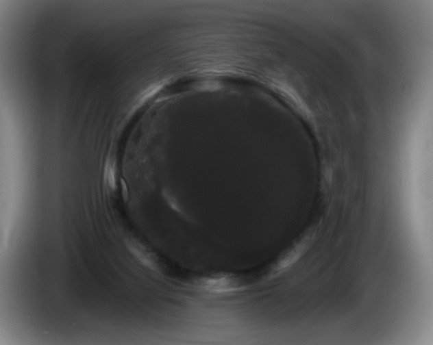 X0000085220068200703091209
