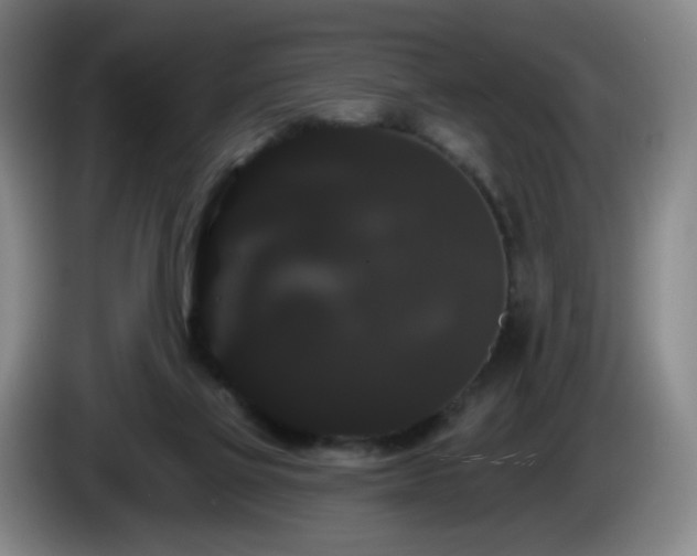 X0000085220069200703091209