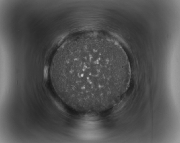 X0000085220070200703091209