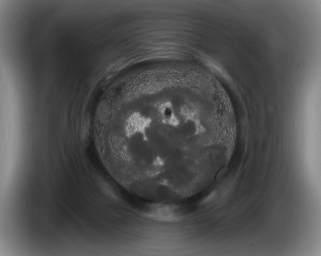 X0000085220073200703091209