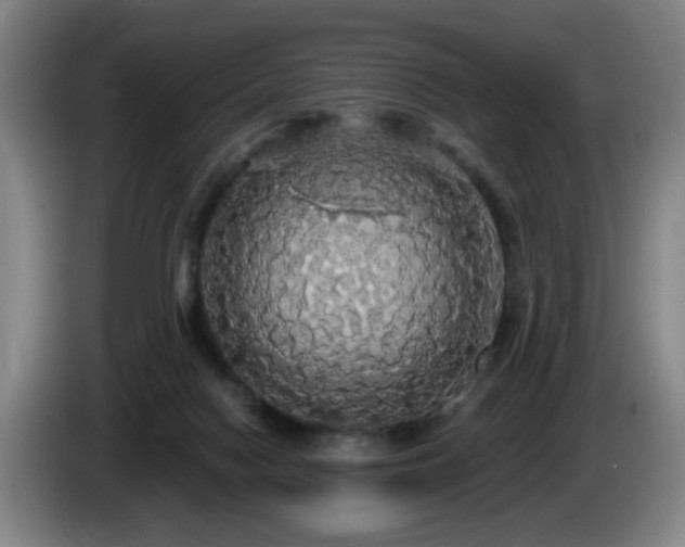 X0000085220074200703091209
