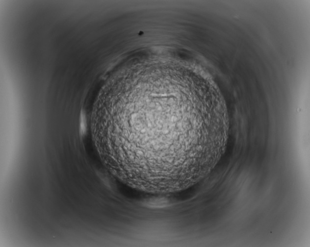 X0000085220075200703091209