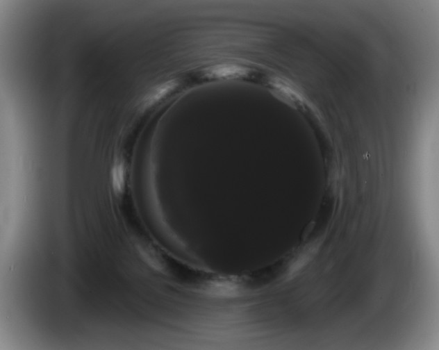 X0000085220076200703091209