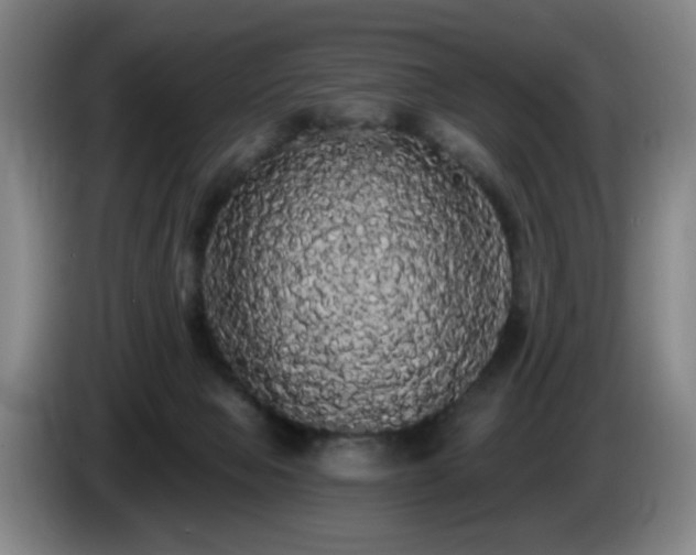 X0000085220077200703091209