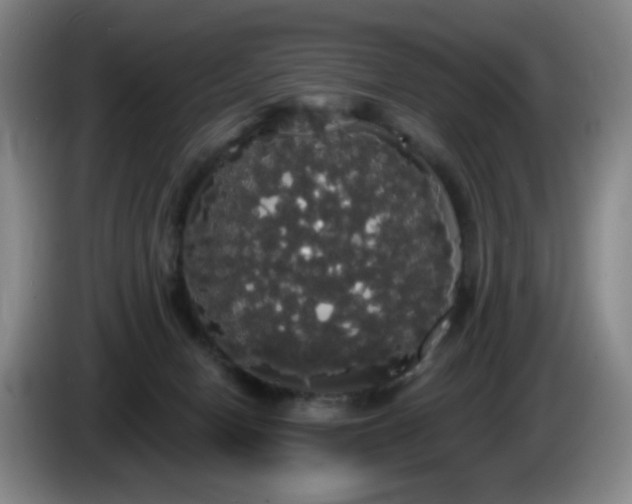 X0000085220078200703091209