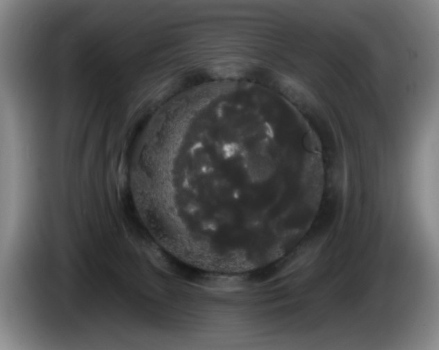 X0000085220081200703091209