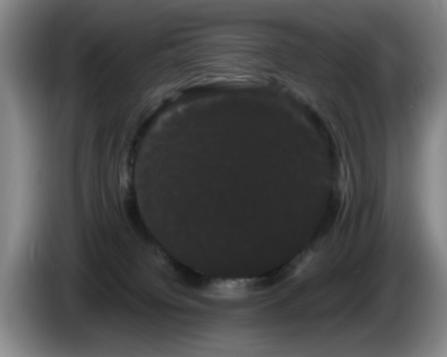 X0000085220084200703091209