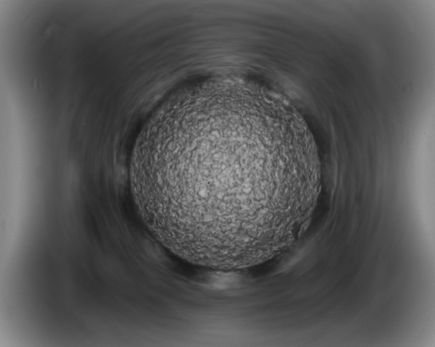 X0000085220085200703091209